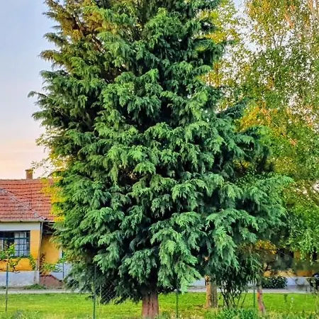 Kis-tisza Apartmanhazak Tokaj- Hegyalja Apartament *